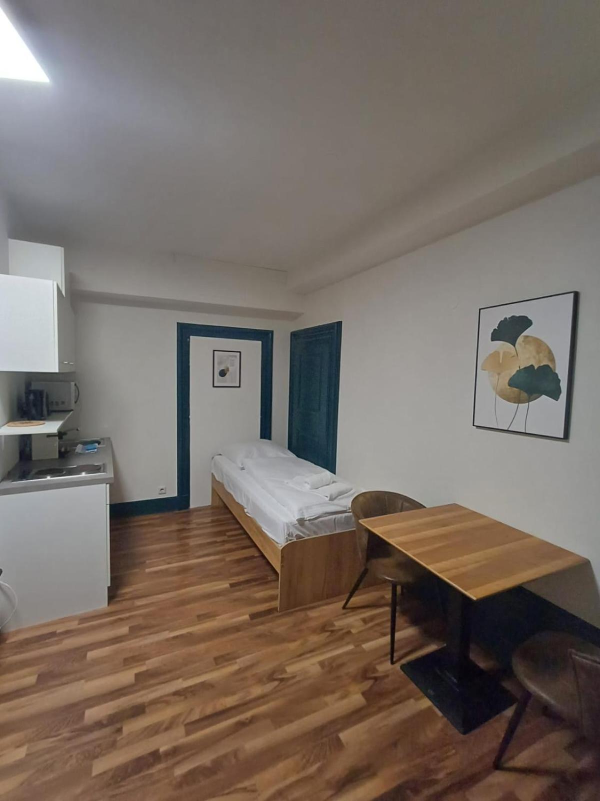 Crown Living Villa Blumenau Studios, Smarttv, Parkplatz Лустенау Екстериор снимка